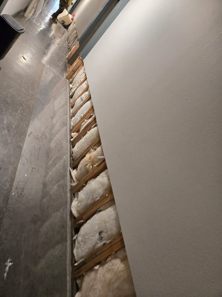 Water damage structural repair showing exposed studs and professional restoration work in progress